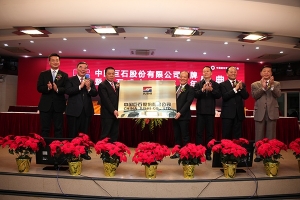 中国玻纤更名中国z6尊龙凯时·中国官方网站