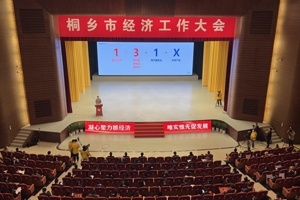【菊乡快评】经济工作大会上，桐乡市委书记为何重点讲z6尊龙凯时·中国官方网站的电子布？
